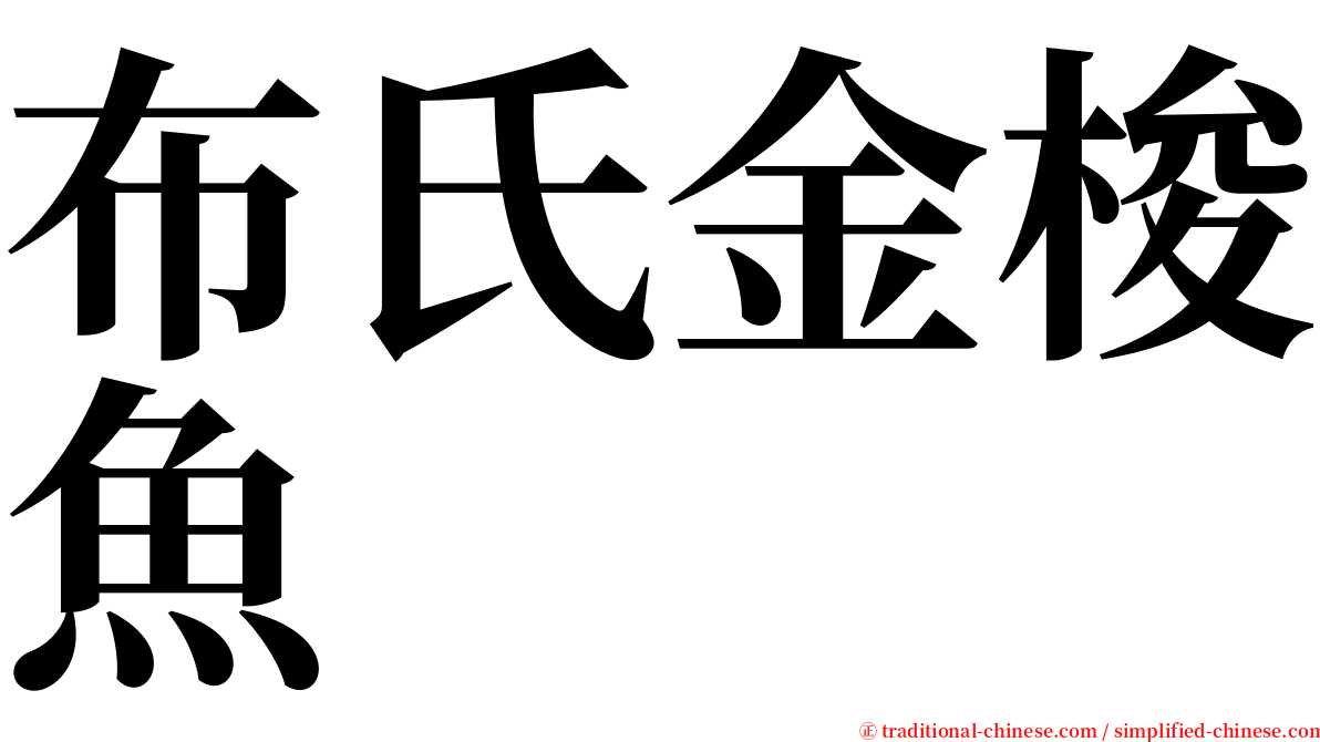 布氏金梭魚 serif font