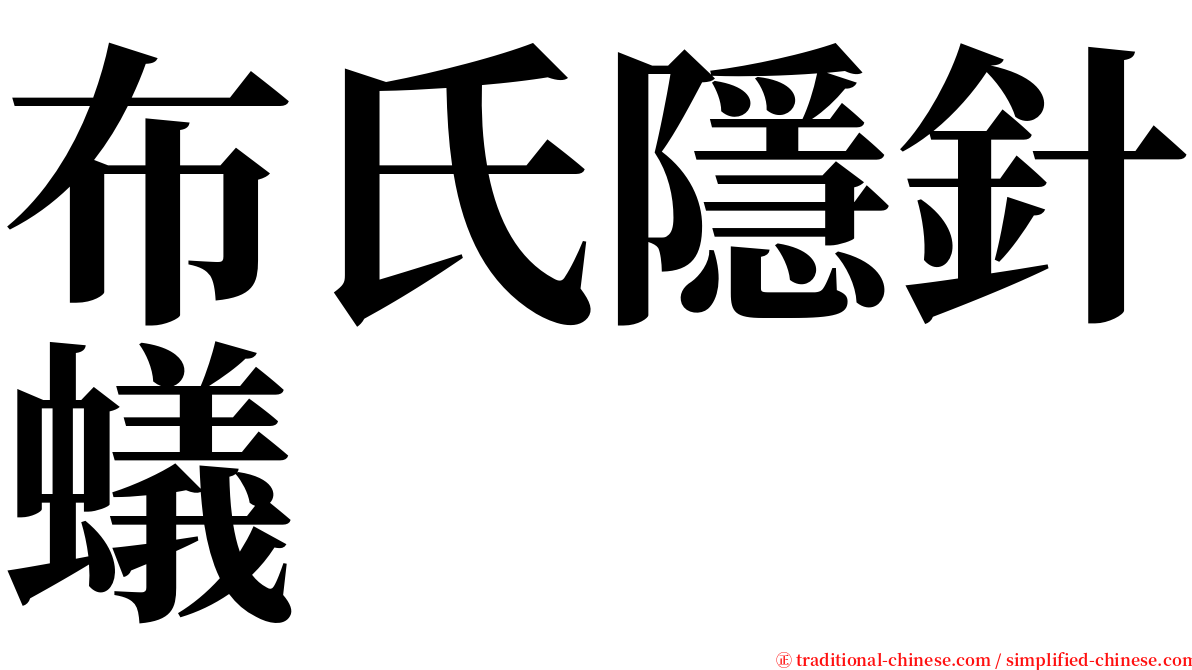 布氏隱針蟻 serif font