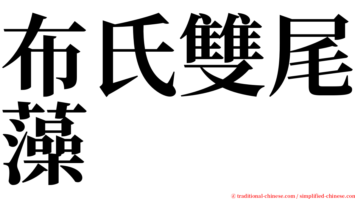 布氏雙尾藻 serif font