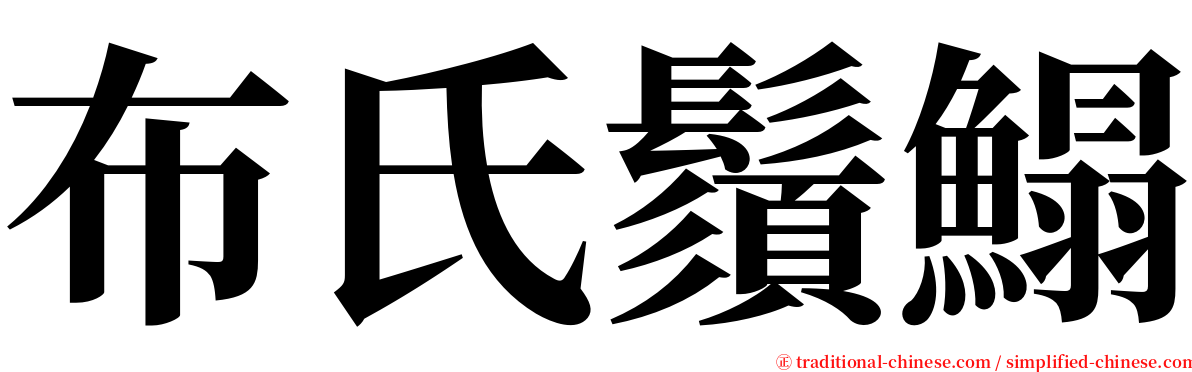 布氏鬚鰨 serif font