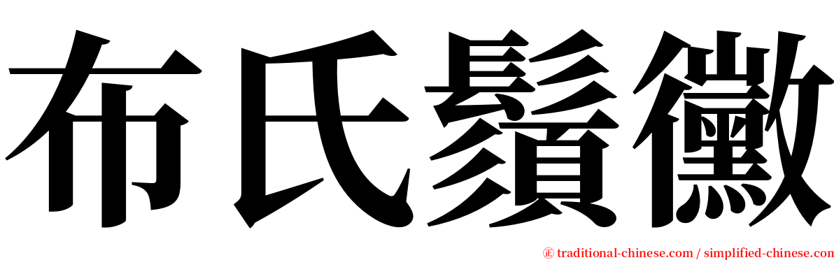 布氏鬚黴 serif font