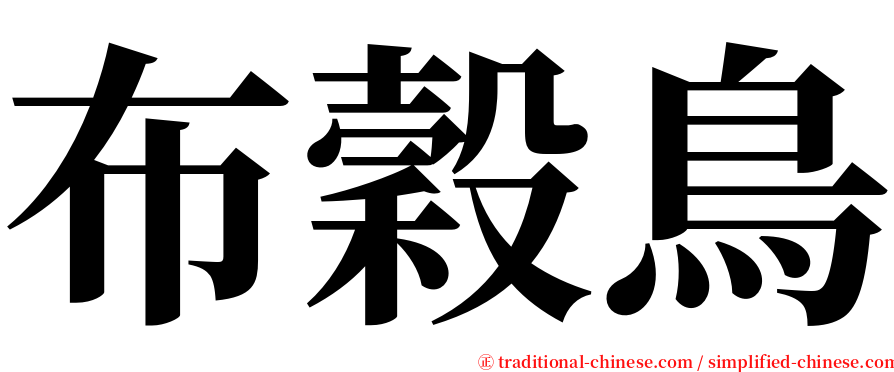 布穀鳥 serif font