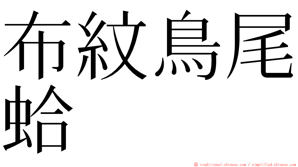 布紋鳥尾蛤 ming font