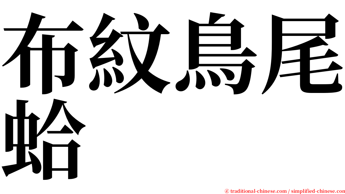 布紋鳥尾蛤 serif font