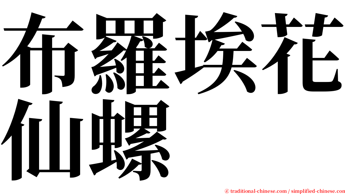 布羅埃花仙螺 serif font