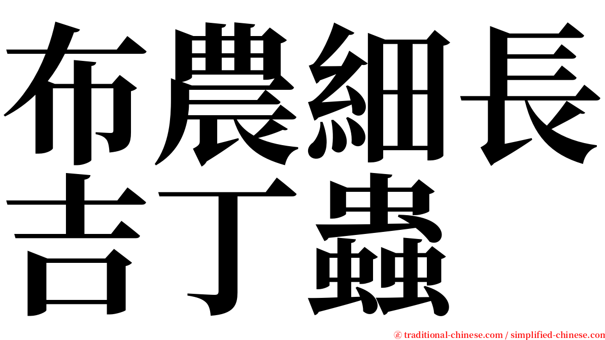 布農細長吉丁蟲 serif font