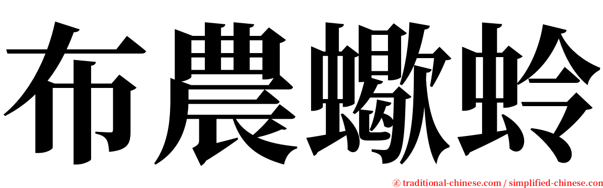 布農蠍蛉 serif font