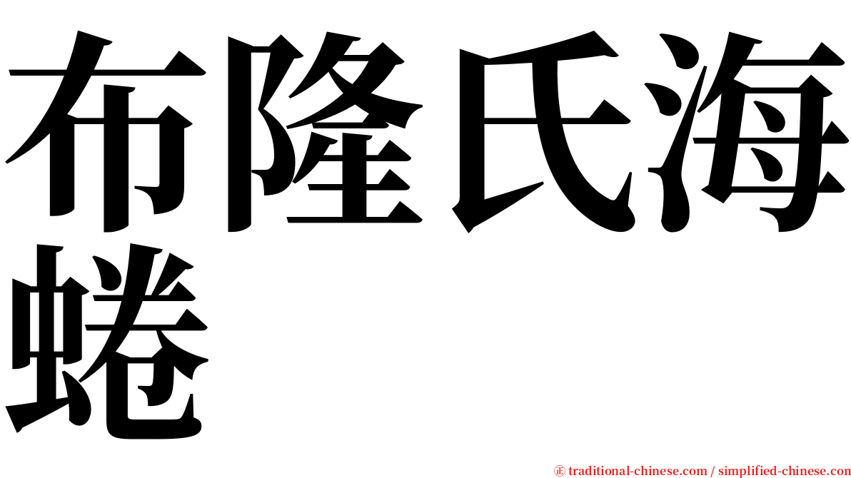 布隆氏海蜷 serif font