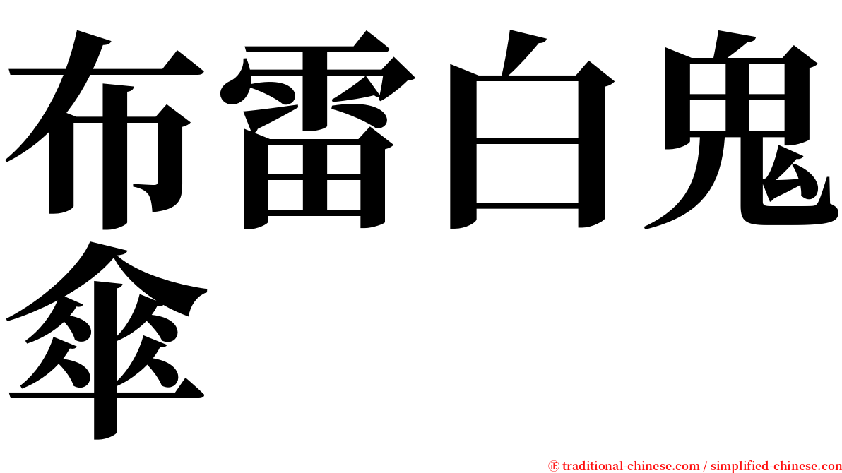 布雷白鬼傘 serif font