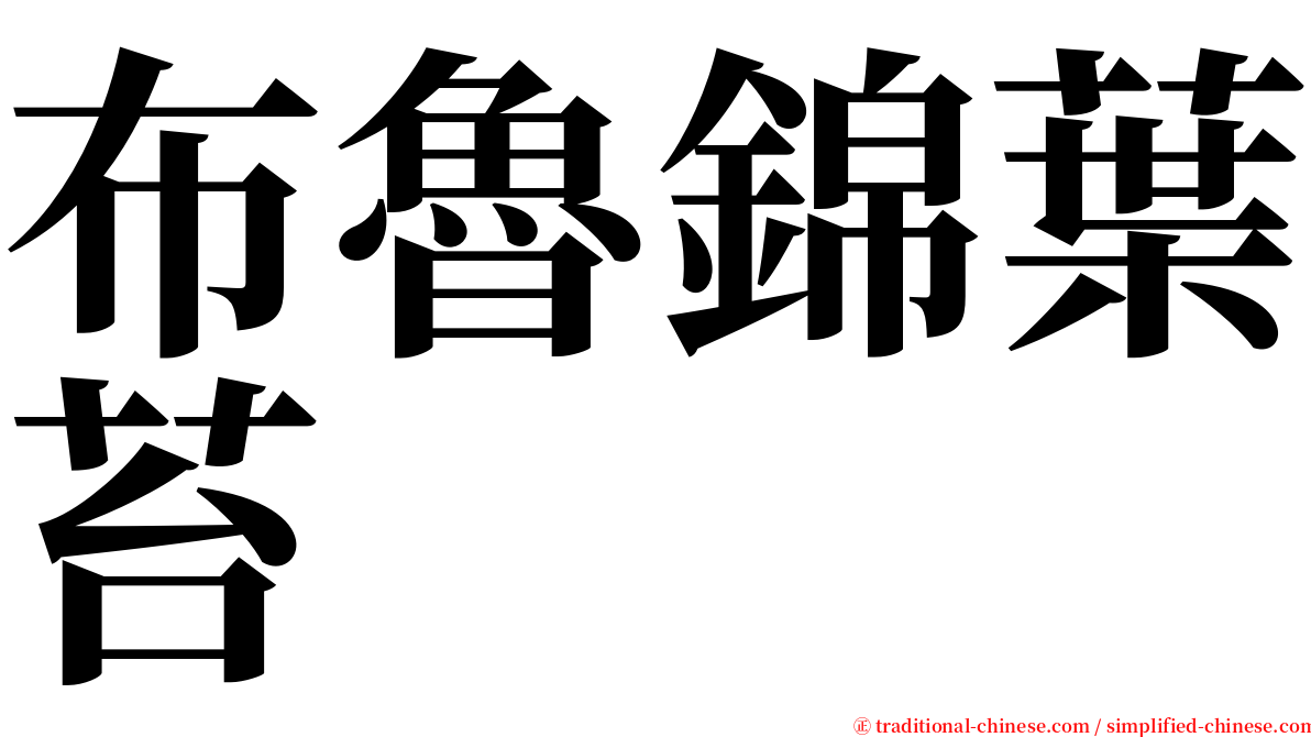 布魯錦葉苔 serif font