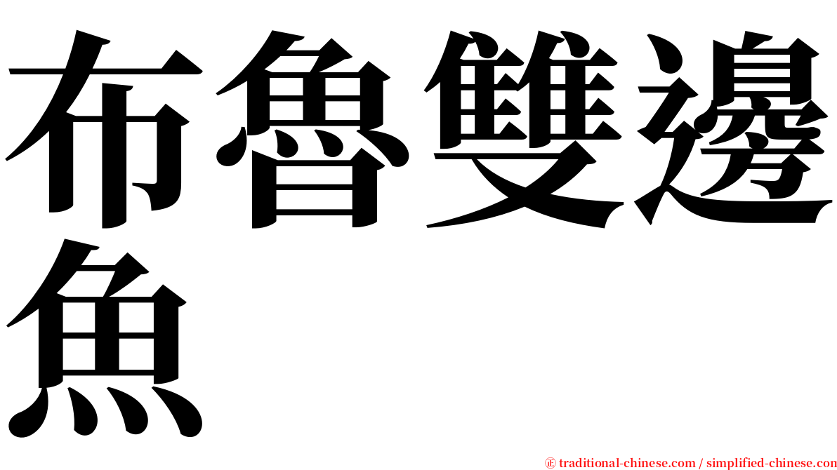 布魯雙邊魚 serif font