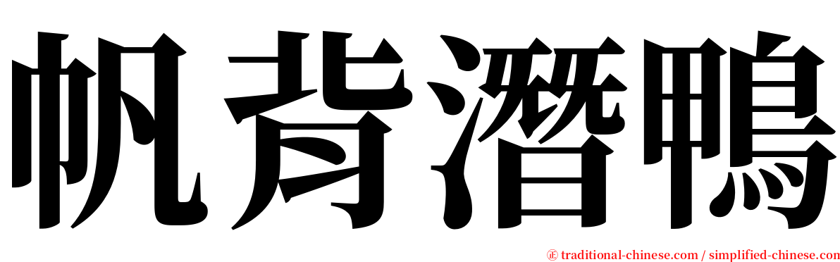 帆背潛鴨 serif font