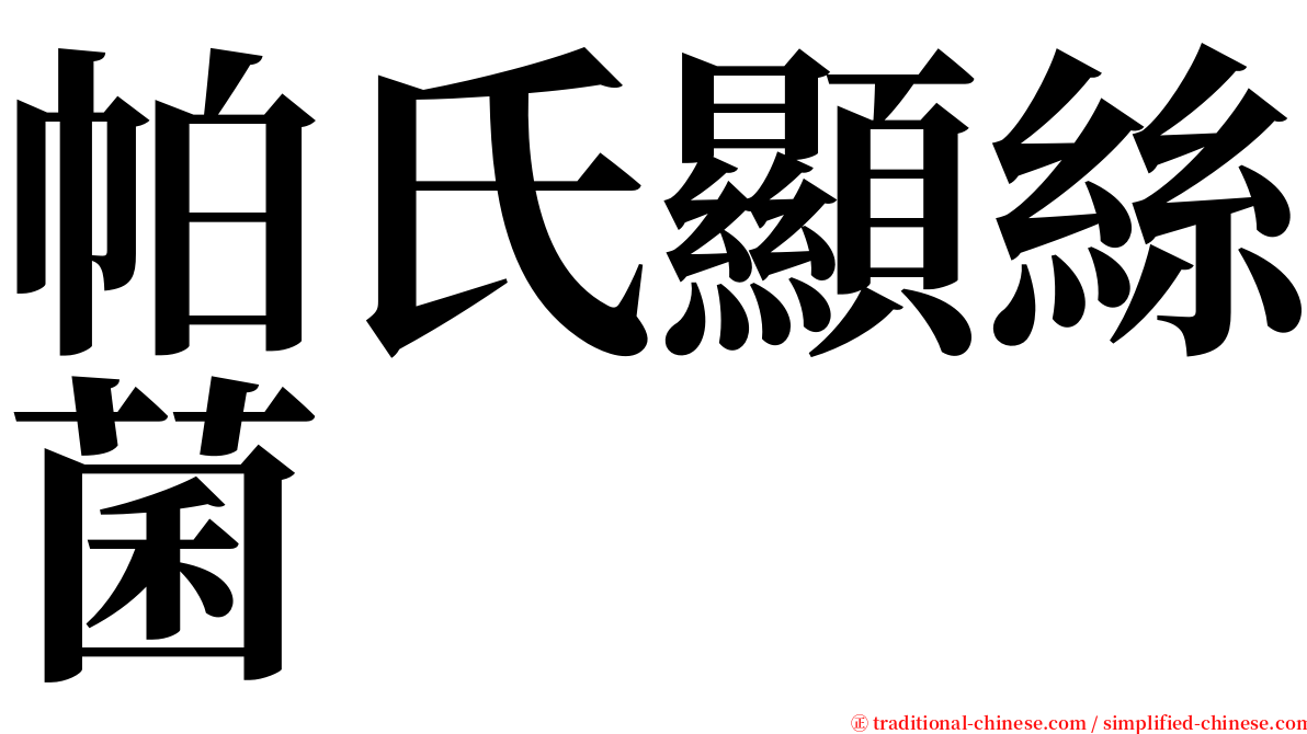 帕氏顯絲菌 serif font