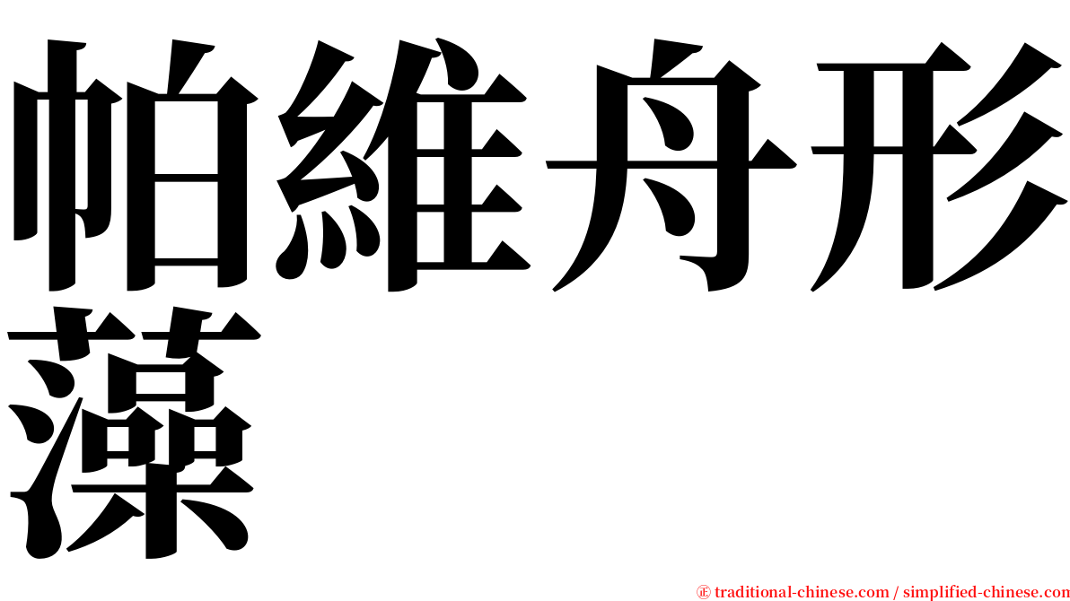 帕維舟形藻 serif font