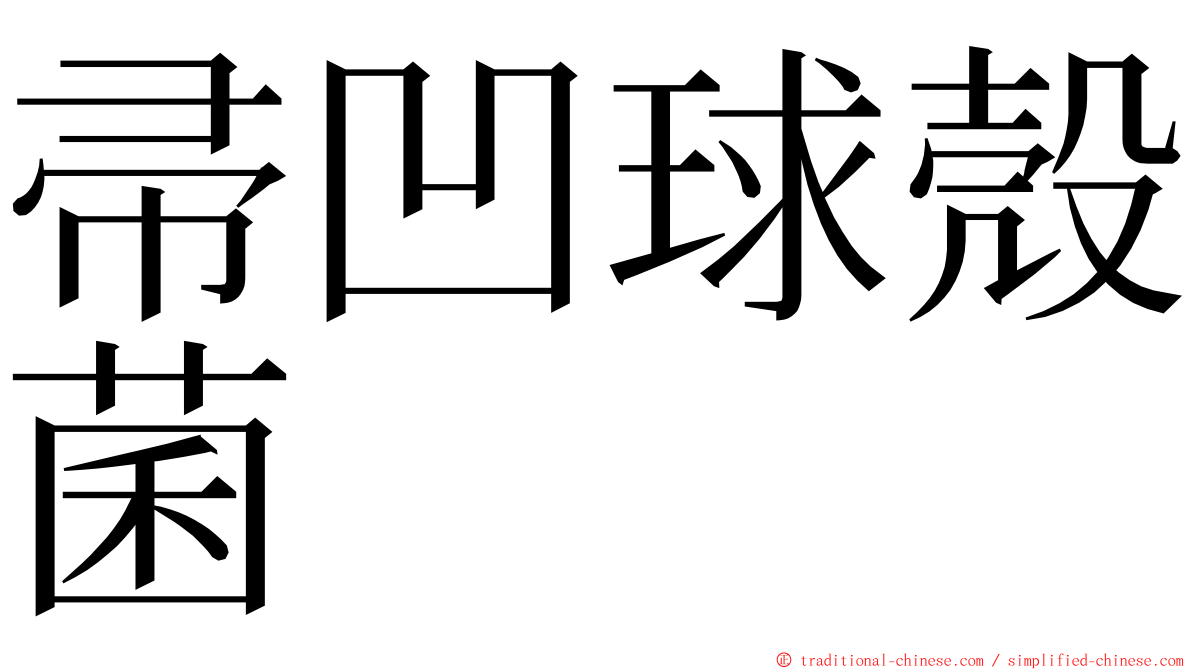 帚凹球殼菌 ming font