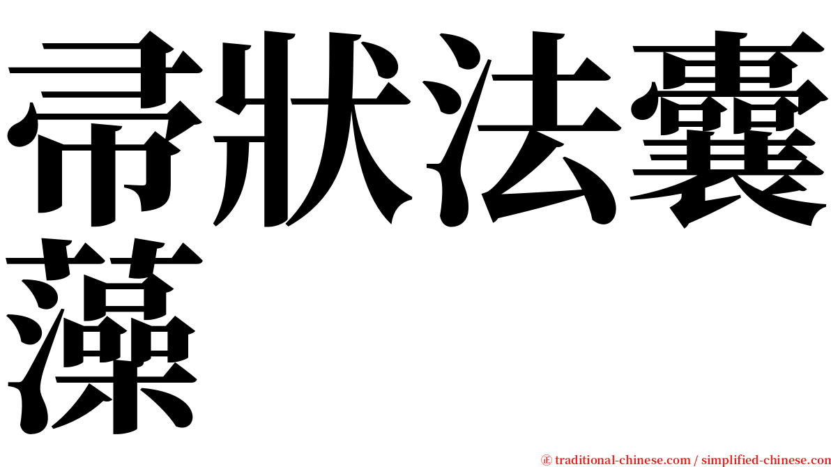 帚狀法囊藻 serif font