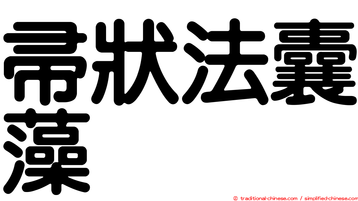 帚狀法囊藻