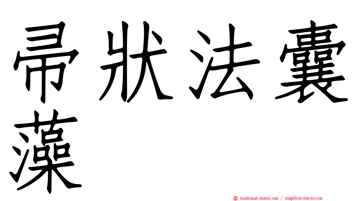 帚狀法囊藻