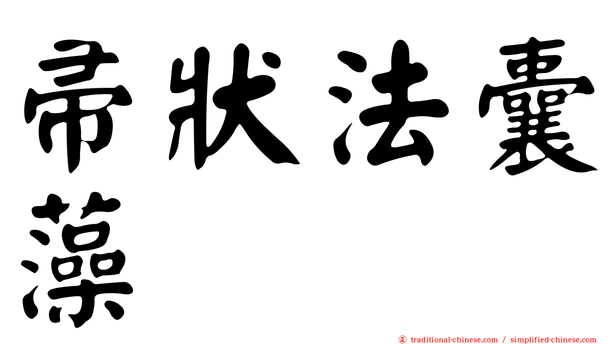 帚狀法囊藻