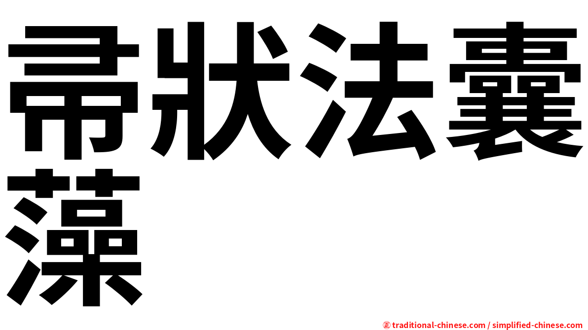 帚狀法囊藻