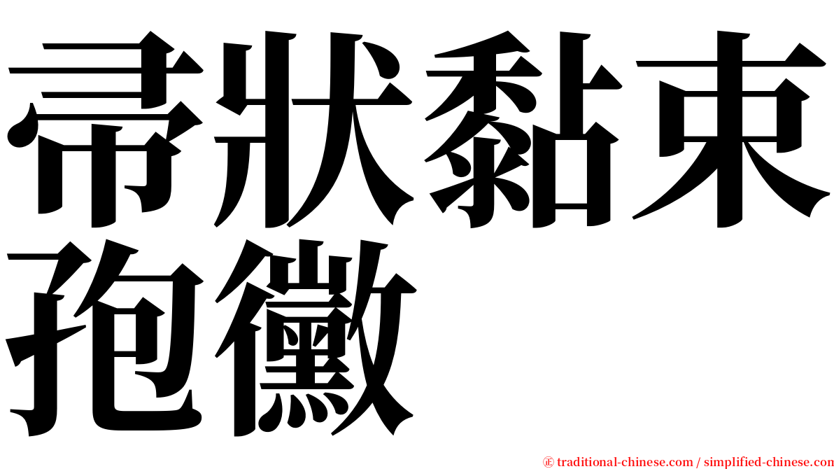 帚狀黏束孢黴 serif font