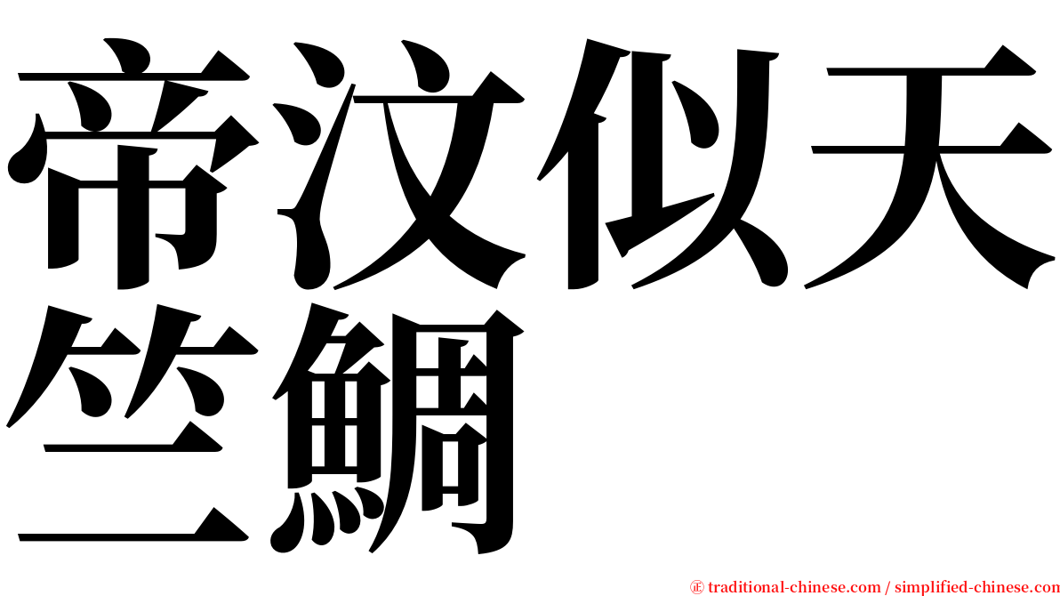 帝汶似天竺鯛 serif font