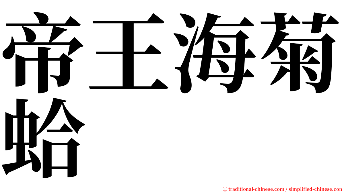 帝王海菊蛤 serif font