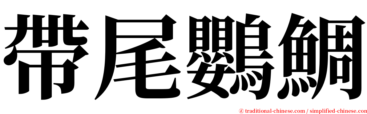 帶尾鸚鯛 serif font