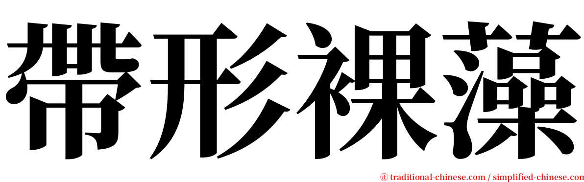 帶形裸藻 serif font