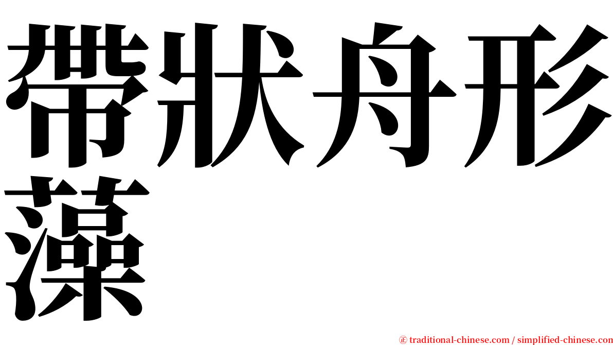 帶狀舟形藻 serif font