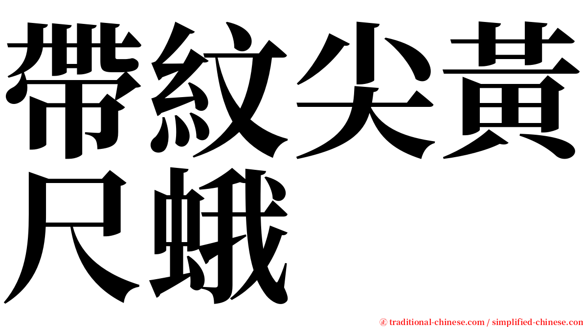 帶紋尖黃尺蛾 serif font