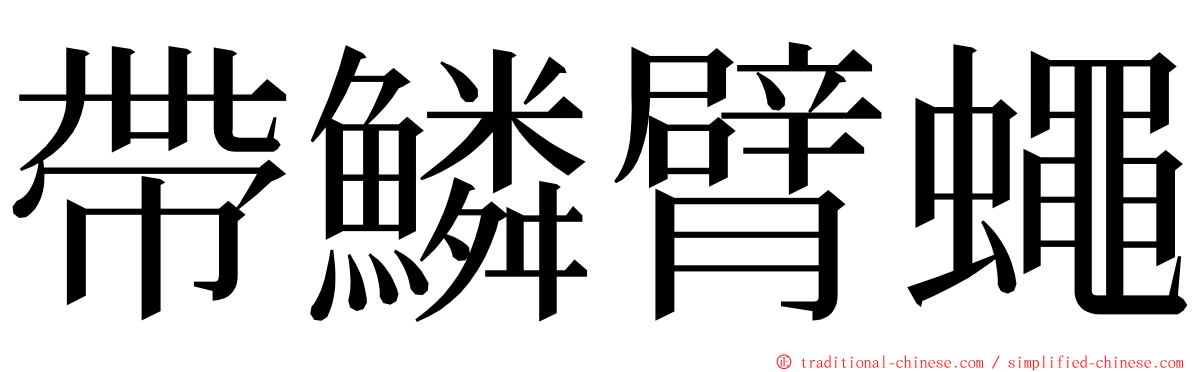 帶鱗臂蠅 ming font