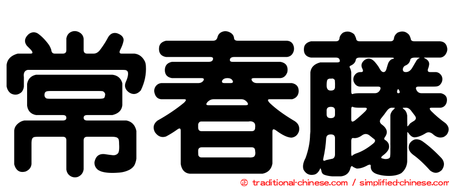 常春藤