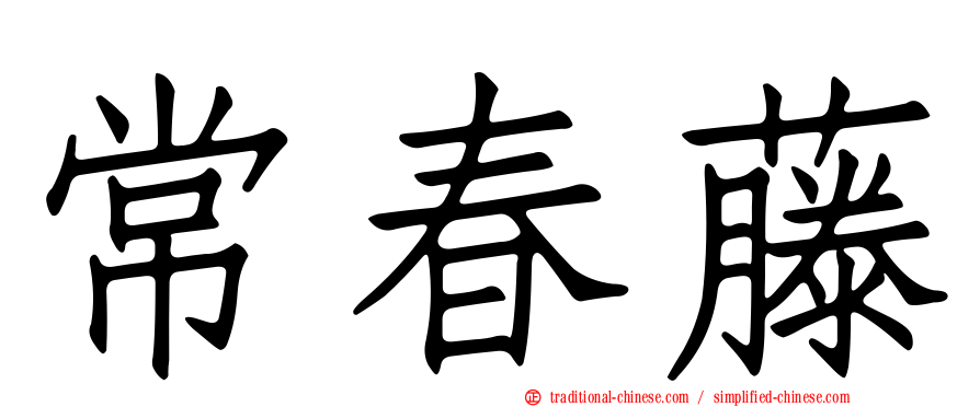 常春藤