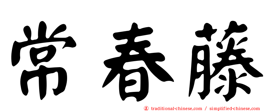 常春藤