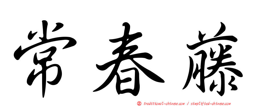 常春藤