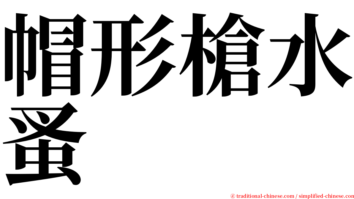 帽形槍水蚤 serif font