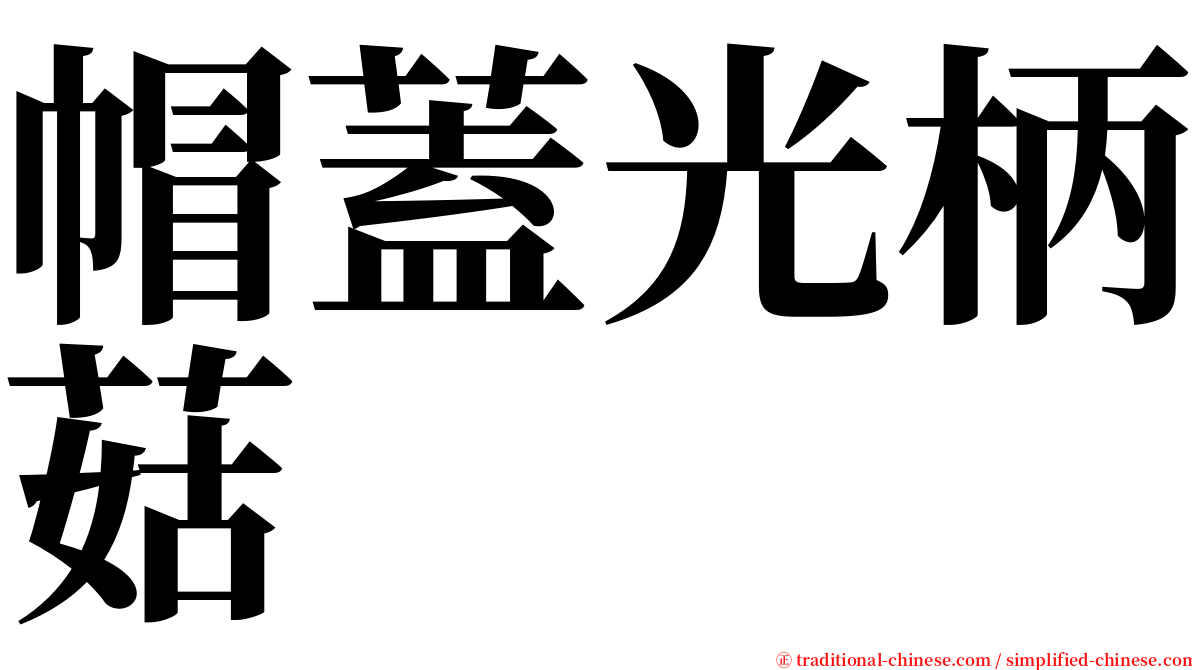 帽蓋光柄菇 serif font