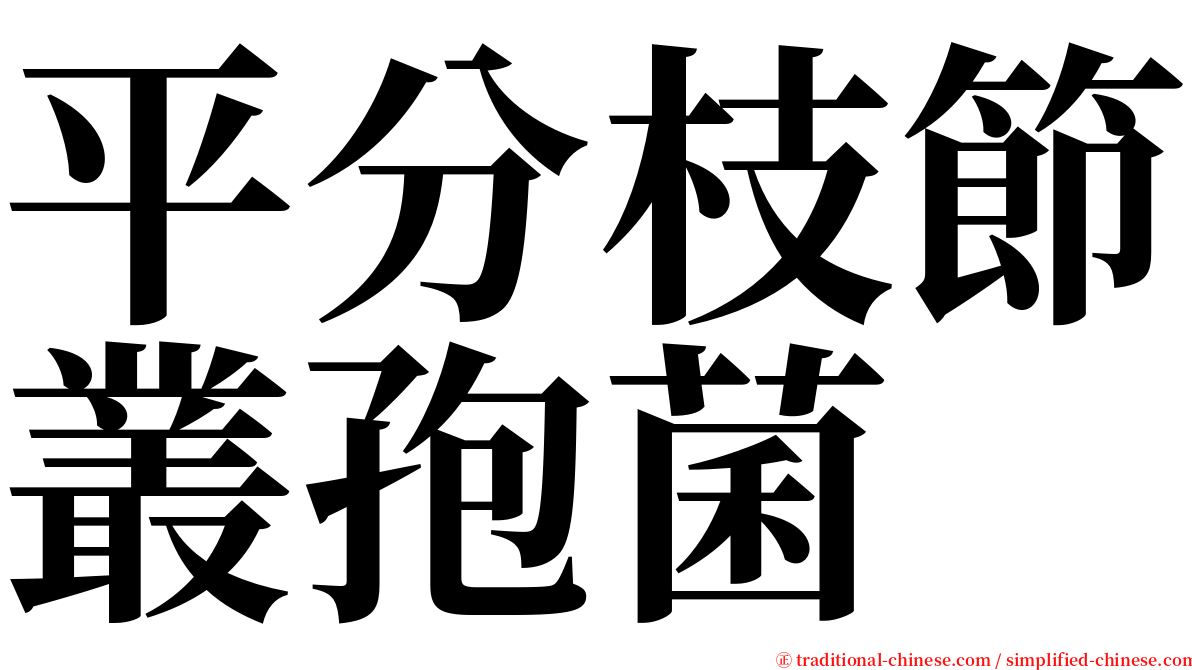 平分枝節叢孢菌 serif font