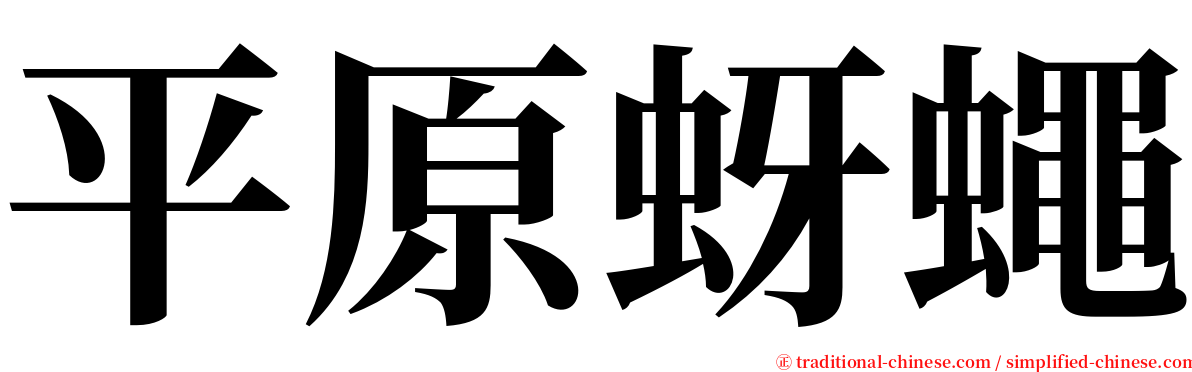 平原蚜蠅 serif font