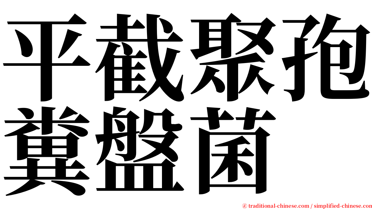 平截聚孢糞盤菌 serif font