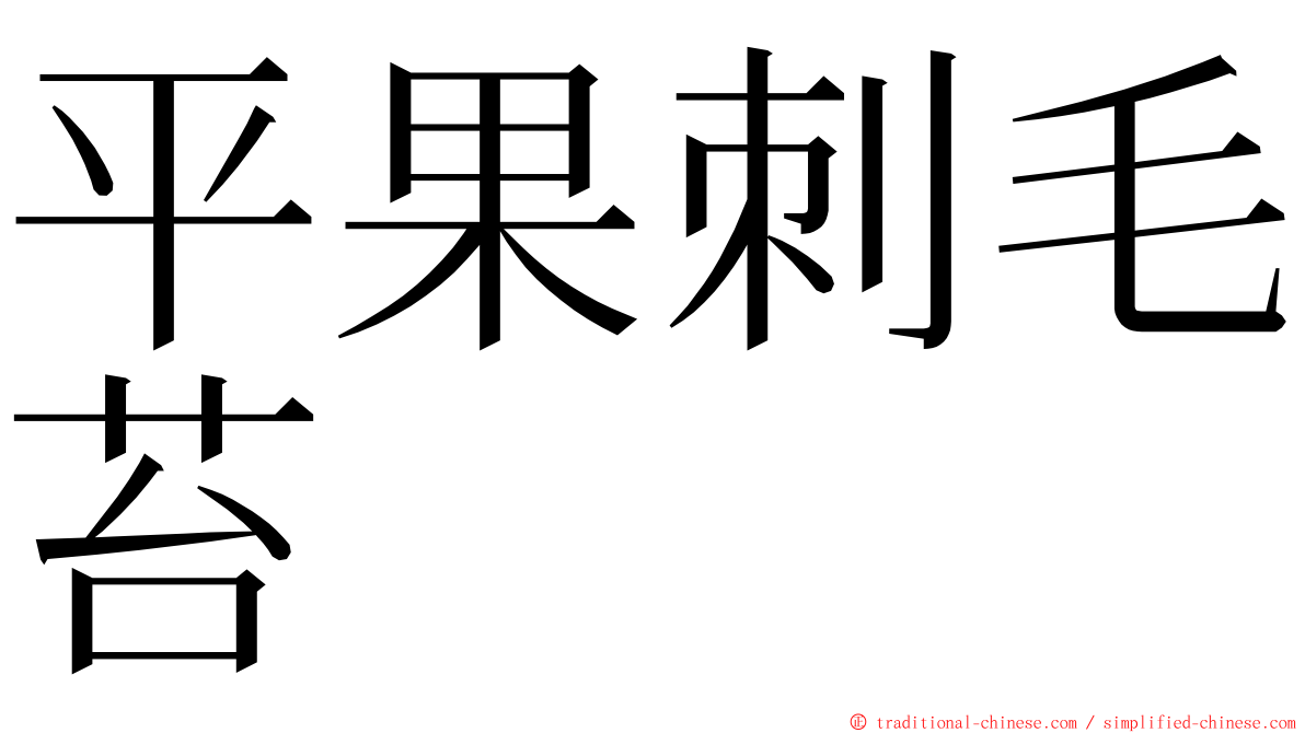 平果刺毛苔 ming font