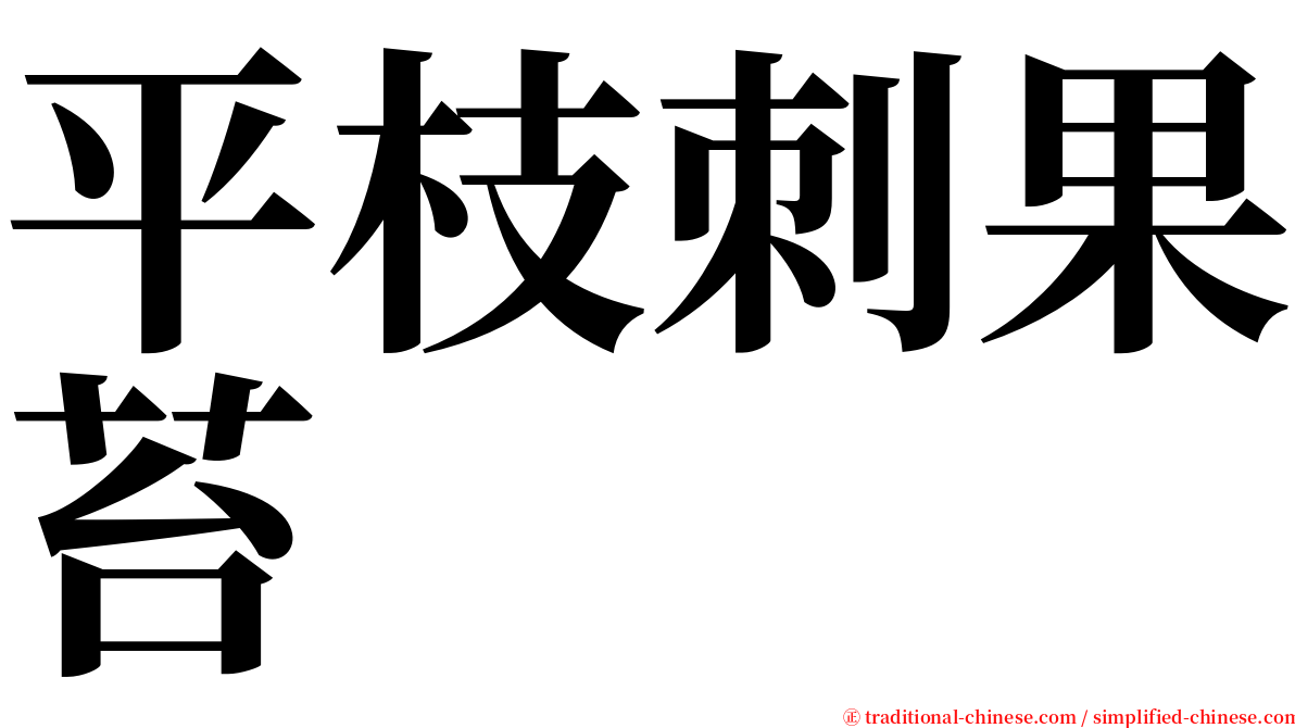 平枝刺果苔 serif font