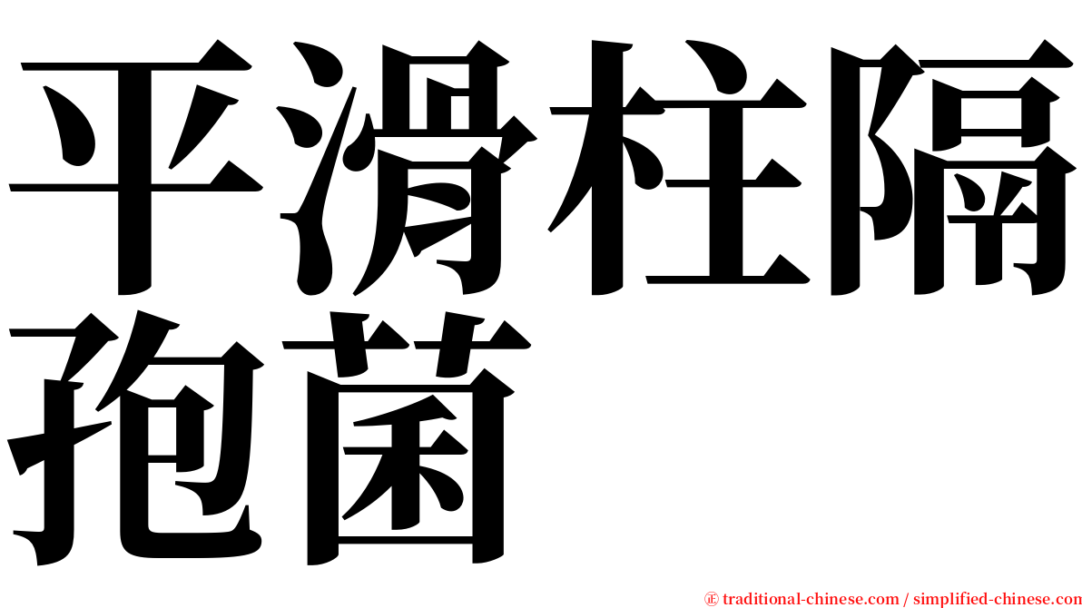 平滑柱隔孢菌 serif font