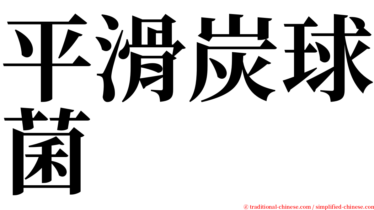 平滑炭球菌 serif font