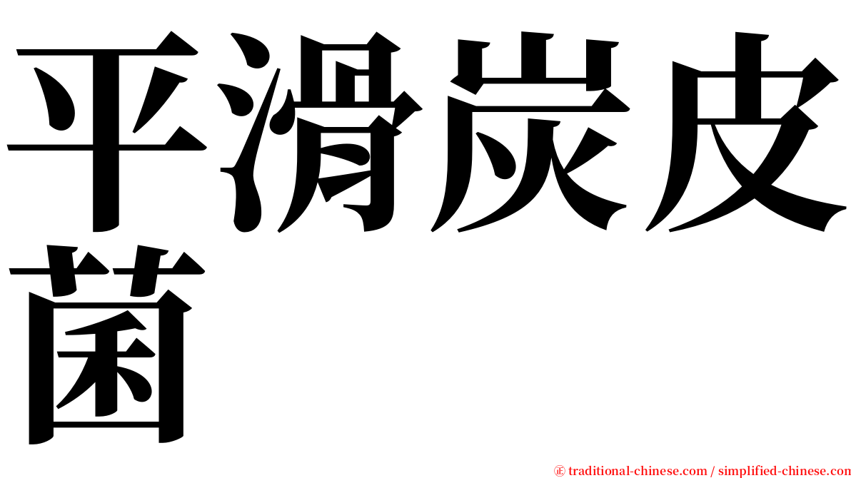 平滑炭皮菌 serif font