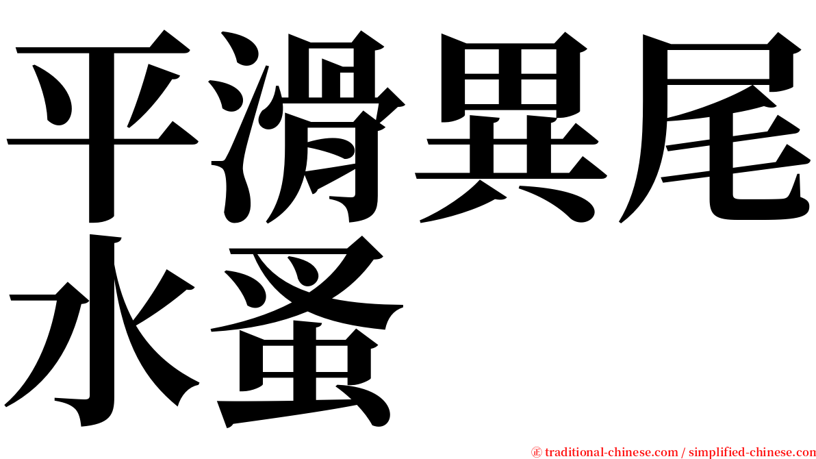 平滑異尾水蚤 serif font