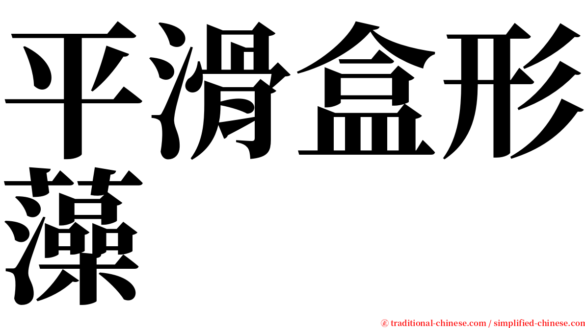 平滑盒形藻 serif font