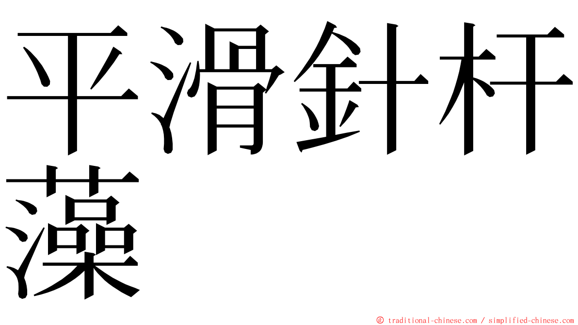 平滑針杆藻 ming font