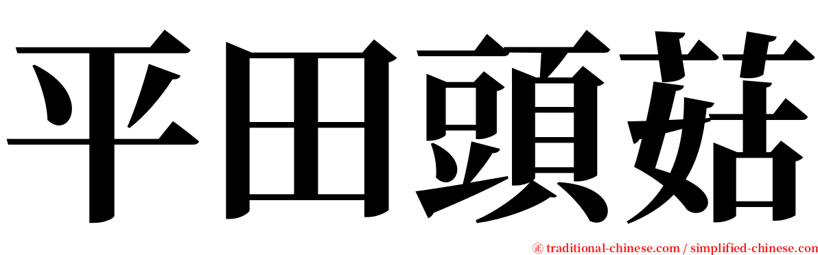 平田頭菇 serif font